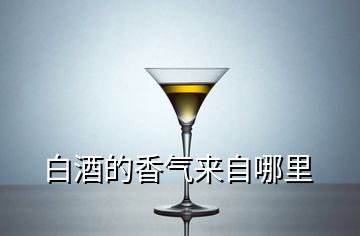 白酒的香气来自哪里