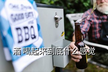 酒 喝起来到底什么感觉