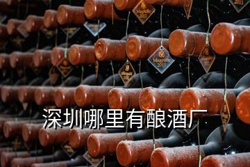 深圳哪里有酿酒厂