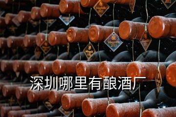 深圳哪里有酿酒厂