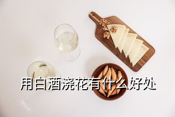 用白酒浇花有什么好处