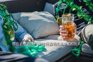 想在云南曲靖开间独特酒吧找策略或和伙人