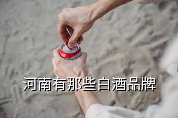 河南有那些白酒品牌