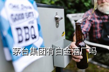 茅台集团有白金酒厂吗