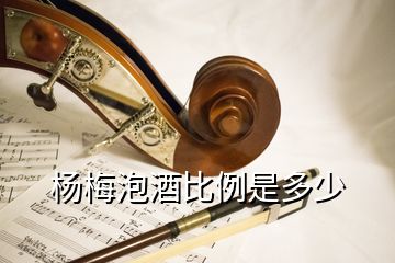 杨梅泡酒比例是多少