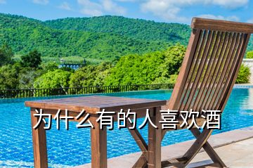 为什么有的人喜欢酒
