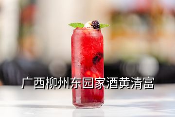 广西柳州东园家酒黄清富