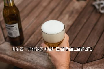 山东省一共有多少家酒厂白酒啤酒红酒都包括