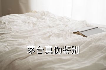 茅台真伪鉴别