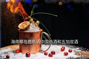 海南椰岛鹿龟酒中国劲酒和五加皮酒