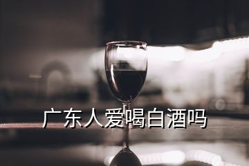 广东人爱喝白酒吗