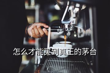 怎么才能买到真正的茅台