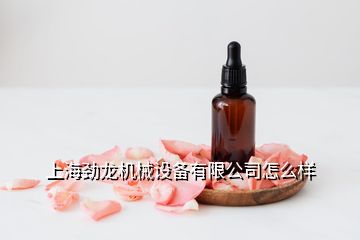 上海劲龙机械设备有限公司怎么样