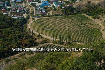 安徽省安庆市陈瑶湖经济开发区缘酒尊贵版八年价格