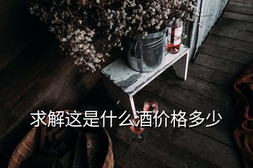 求解这是什么酒价格多少