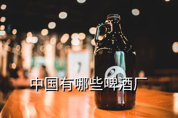 中国有哪些啤酒厂
