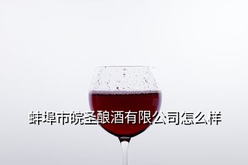 蚌埠市皖圣酿酒有限公司怎么样
