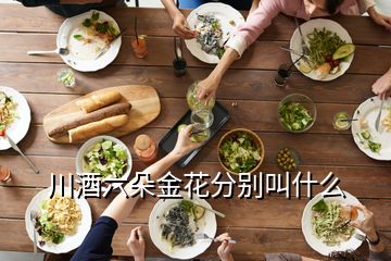 川酒六朵金花分别叫什么