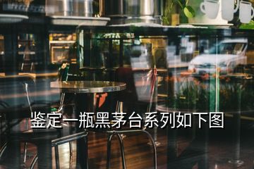 鉴定一瓶黑茅台系列如下图