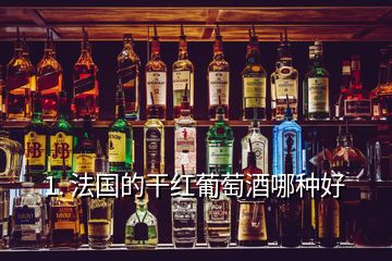 1. 法国的干红葡萄酒哪种好