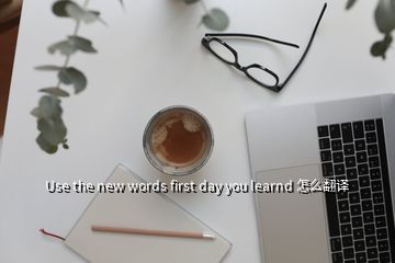 Use the new words first day you learnd 怎么翻译