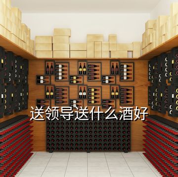 送领导送什么酒好