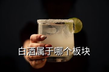 白酒属于哪个板块