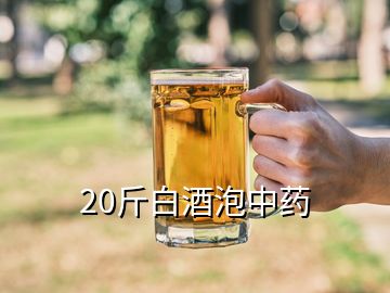 20斤白酒泡中药