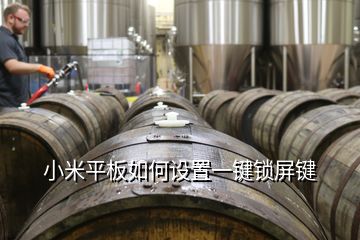 小米平板如何设置一键锁屏键
