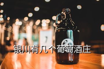 银川有几个葡萄酒庄