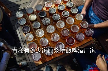 青岛有多少家原浆精酿啤酒厂家