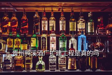 贵州鸭溪酒厂扩建工程是真的吗