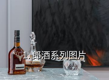 1. 郎酒系列图片