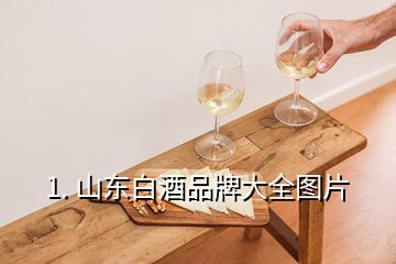1. 山东白酒品牌大全图片