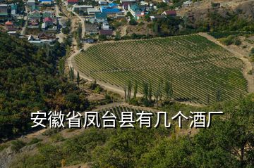 安徽省凤台县有几个酒厂