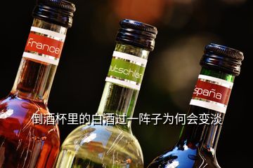 倒酒杯里的白酒过一阵子为何会变淡