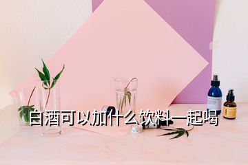 白酒可以加什么饮料一起喝