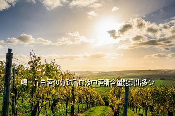 喝一斤白酒40分钟后血液中酒精含量能测出多少