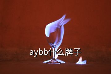 aybb什么牌子