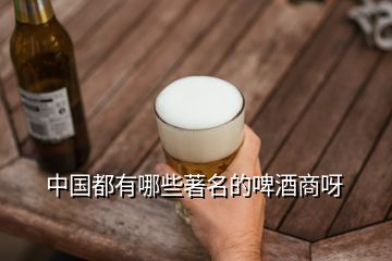 中国都有哪些著名的啤酒商呀