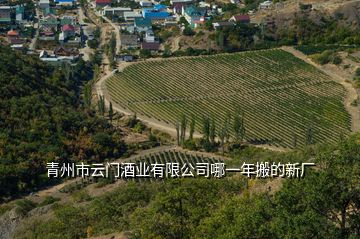 青州市云门酒业有限公司哪一年搬的新厂
