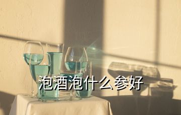 泡酒泡什么参好