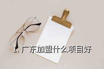 1. 广东加盟什么项目好