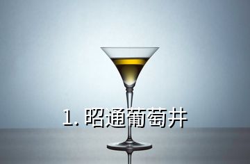 1. 昭通葡萄井