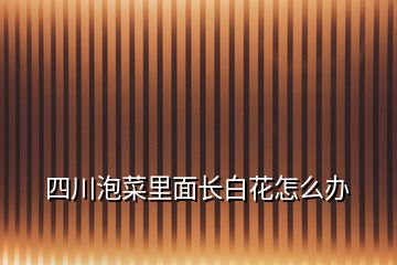 四川泡菜里面长白花怎么办