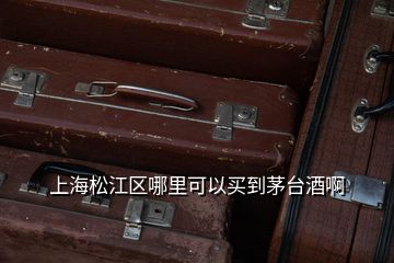 上海松江区哪里可以买到茅台酒啊