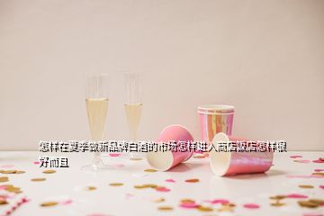 怎样在夏季做新品牌白酒的市场怎样进入商店饭店怎样很好而且