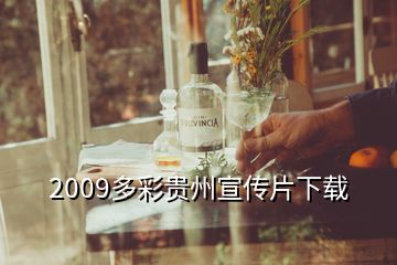 2009多彩贵州宣传片下载