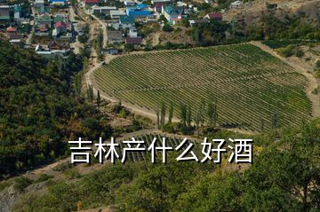 吉林产什么好酒
