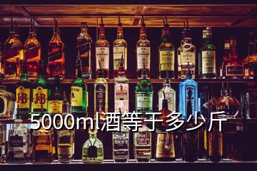 5000ml酒等于多少斤